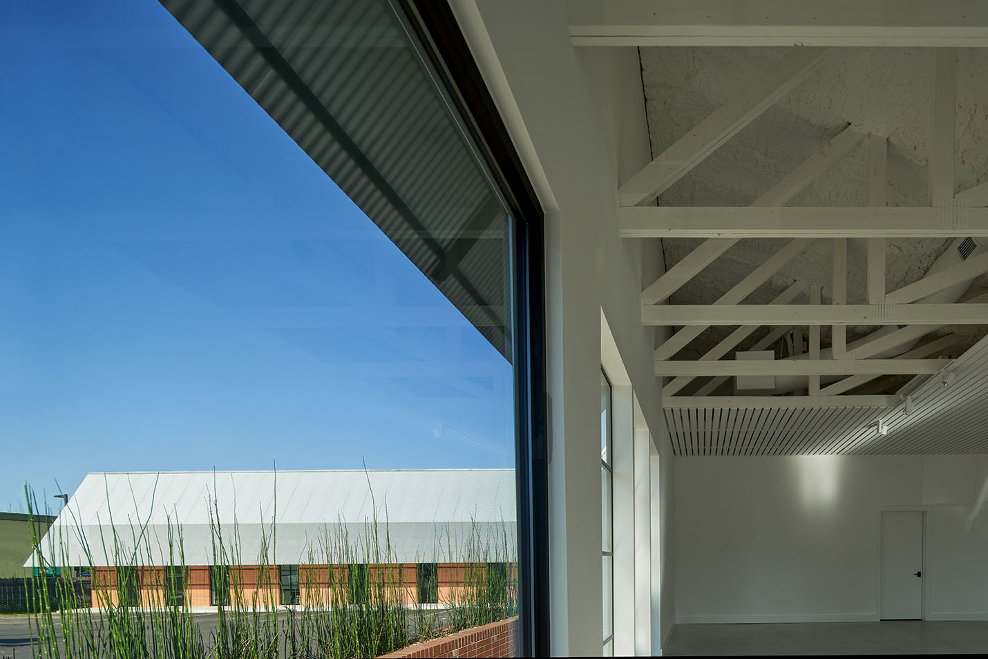 Looking out window of Texas Construction Company office new construction by Chioco design architecture