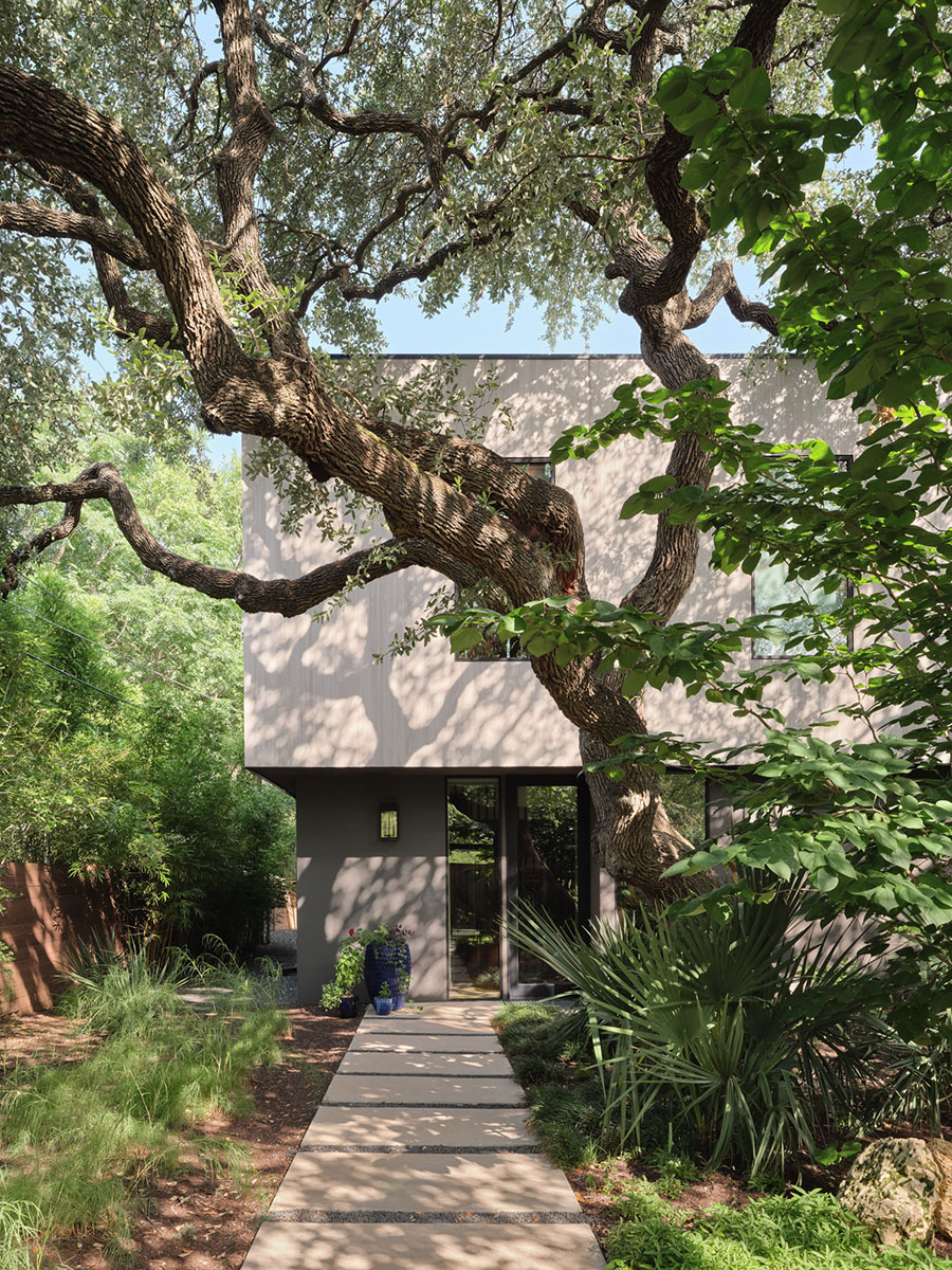 Shaded entry path with native landscaping leading to a modern house addition in Austin, TX, built by Texas Construction Company and designed by FAB Architecture.